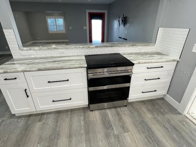 2950 Pallanza Drive S Saint Petersburg FL 33701 TB8473903 image10