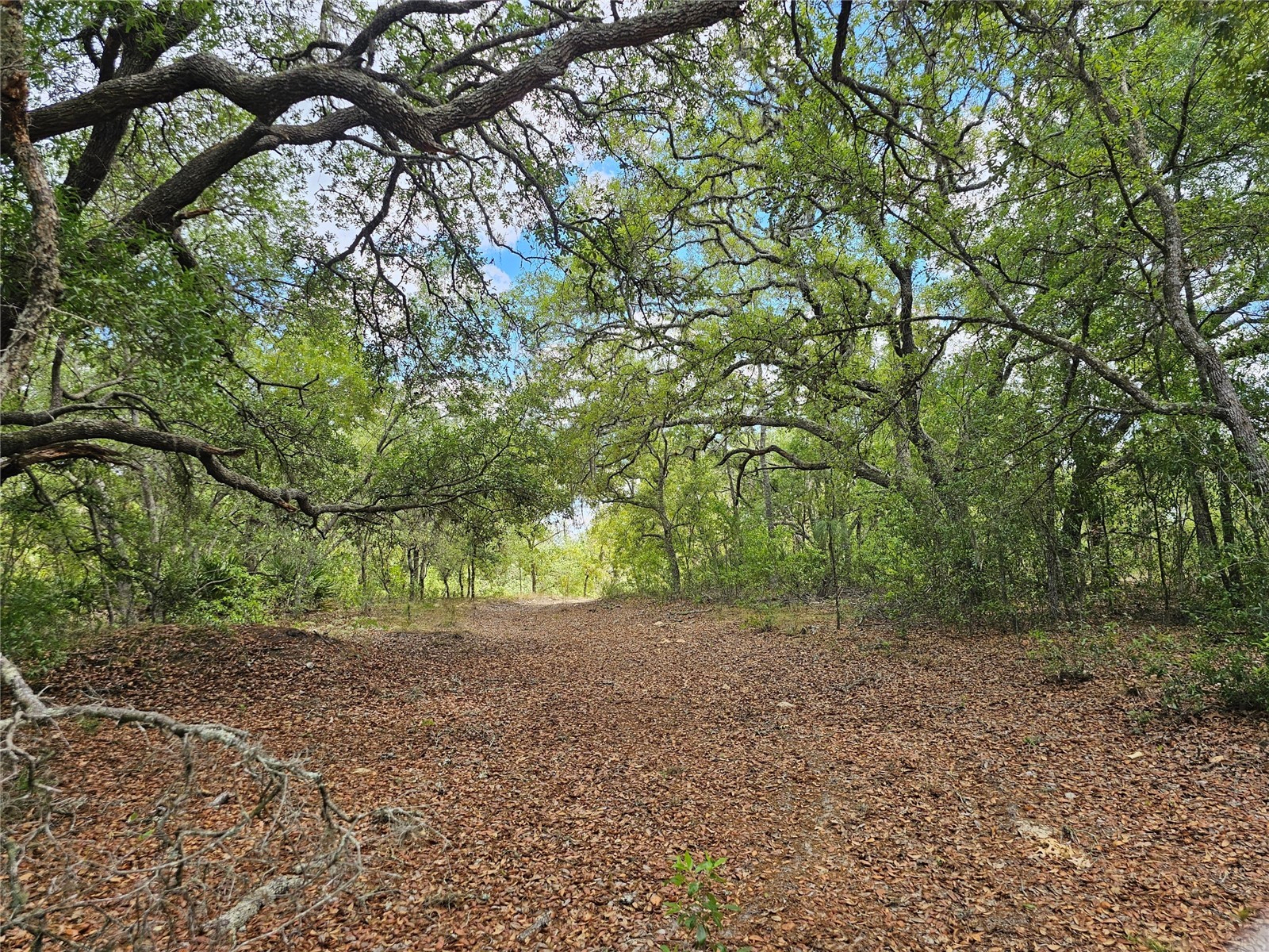 2950 W Pompano Lane Dunnellon FL 34433 W7885363 image1
