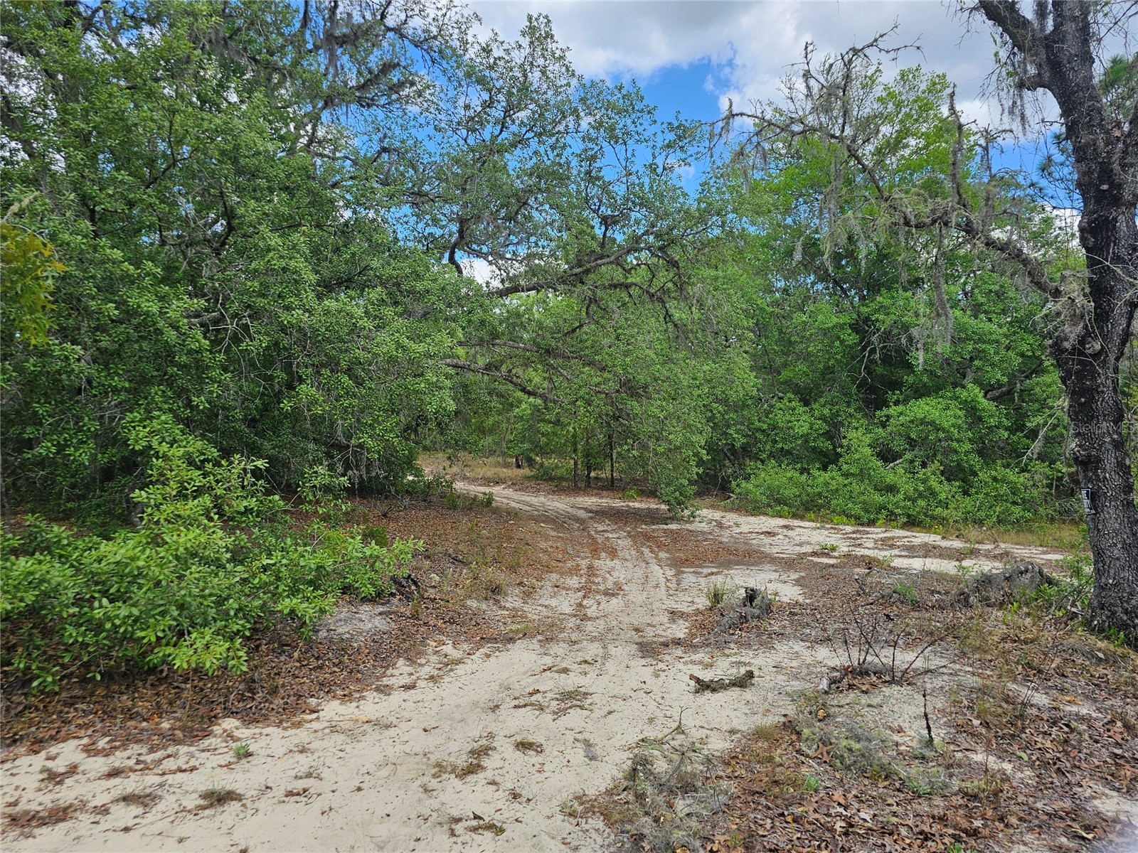 2950 W Pompano Lane Dunnellon FL 34433 W7885363 image10