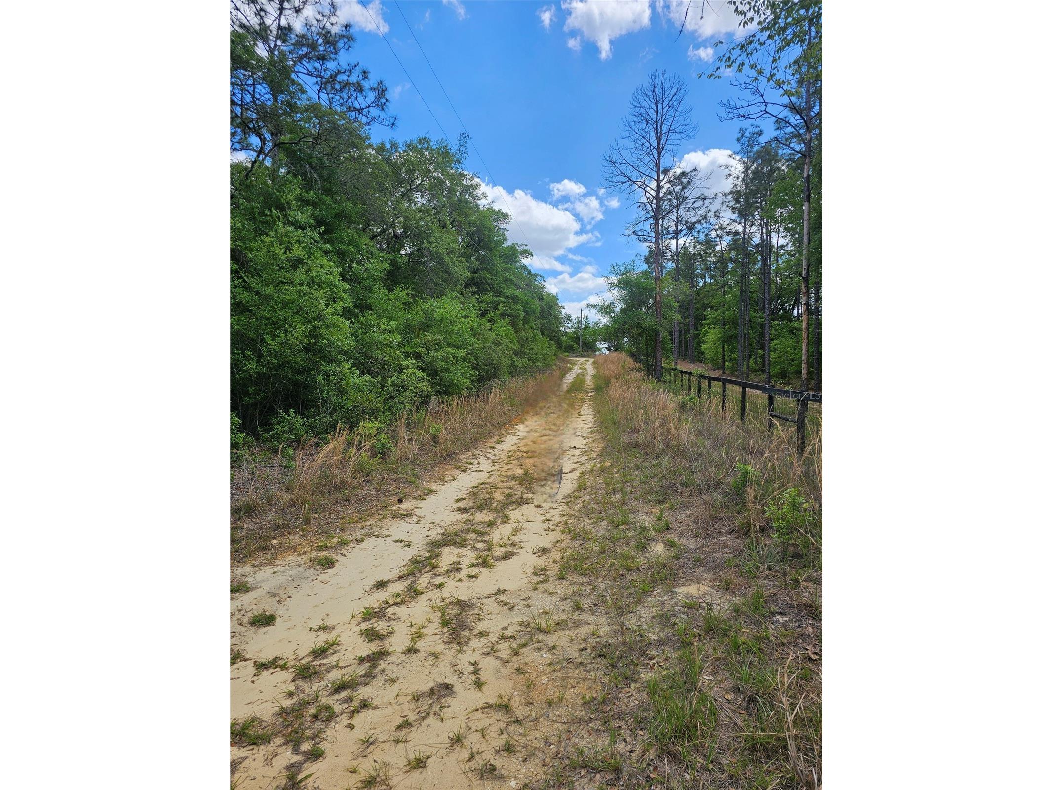 2950 W Pompano Lane Dunnellon FL 34433 W7885363 image5