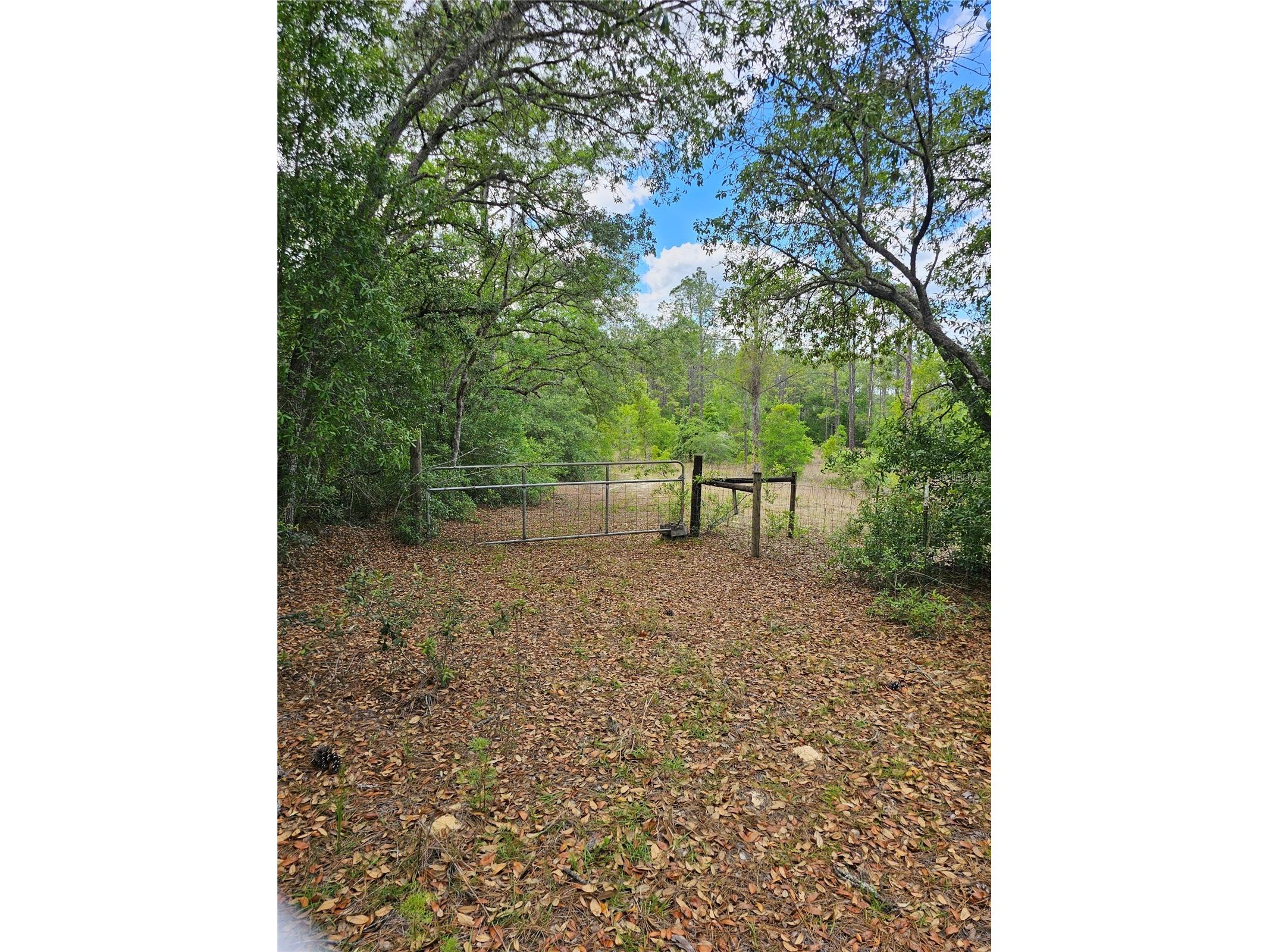 2950 W Pompano Lane Dunnellon FL 34433 W7885363 image6