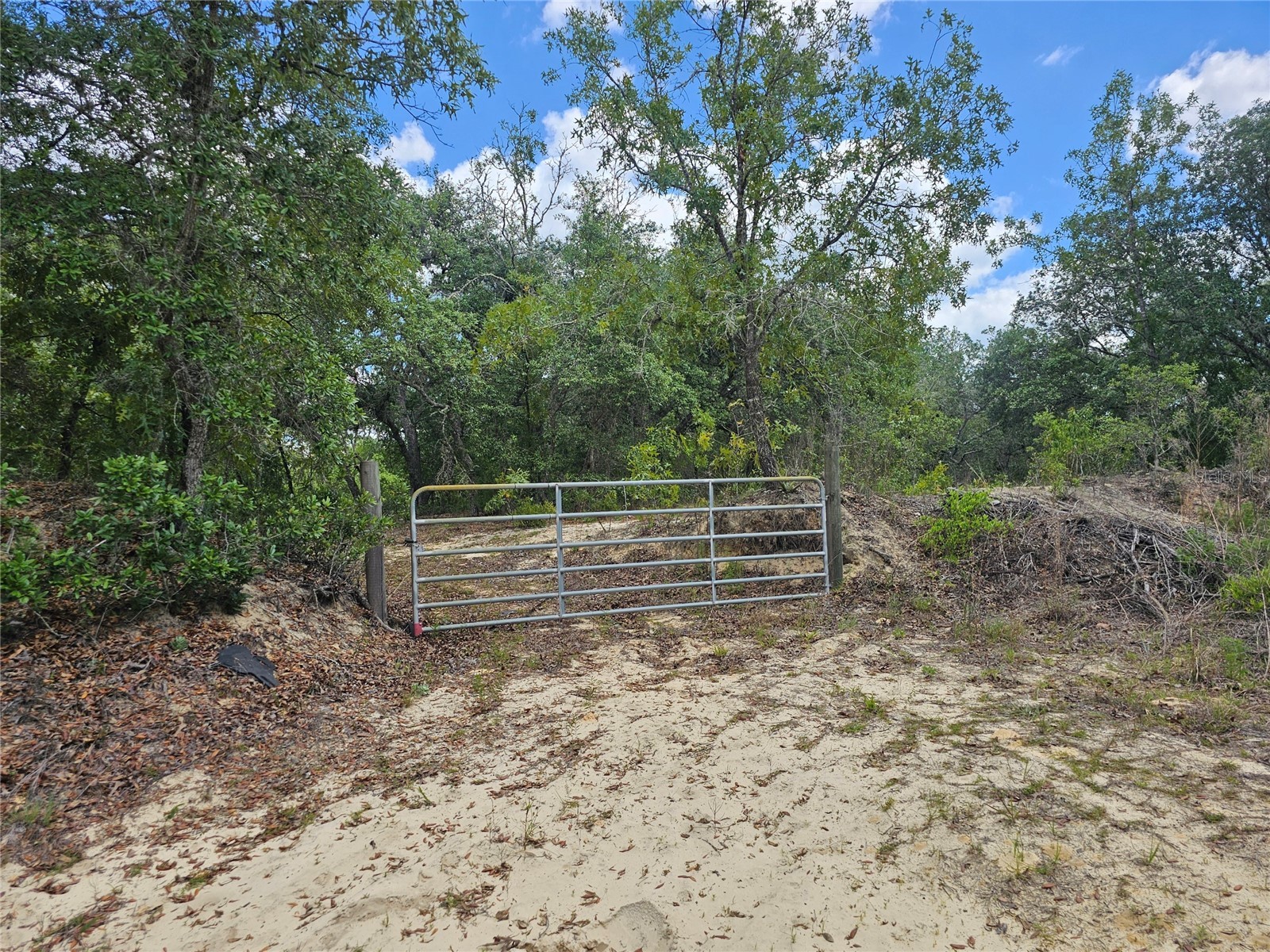 2950 W Pompano Lane Dunnellon FL 34433 W7885363 image7
