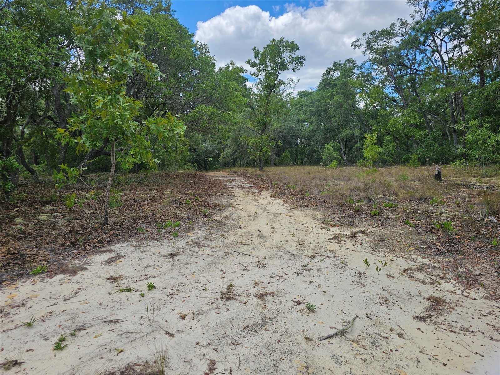 2950 W Pompano Lane Dunnellon FL 34433 W7885363 image8