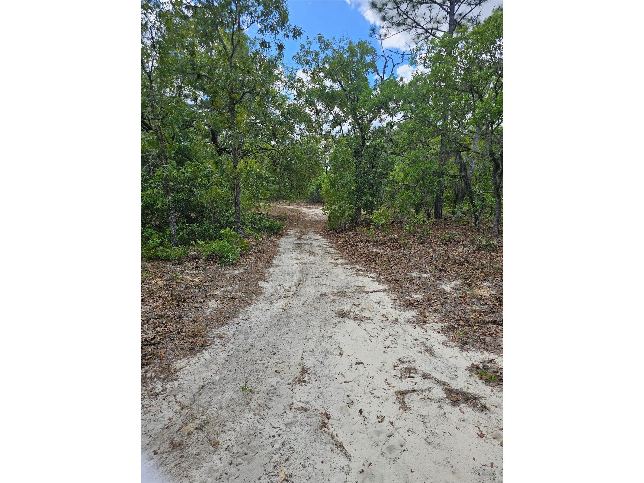 2950 W Pompano Lane Dunnellon FL 34433 W7885363 image9