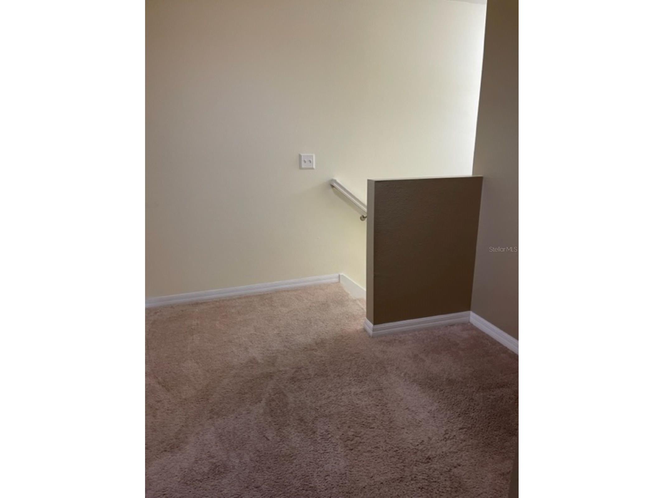 2950 Willowleaf Lane Wesley Chapel FL 33544 TB8495846 image12