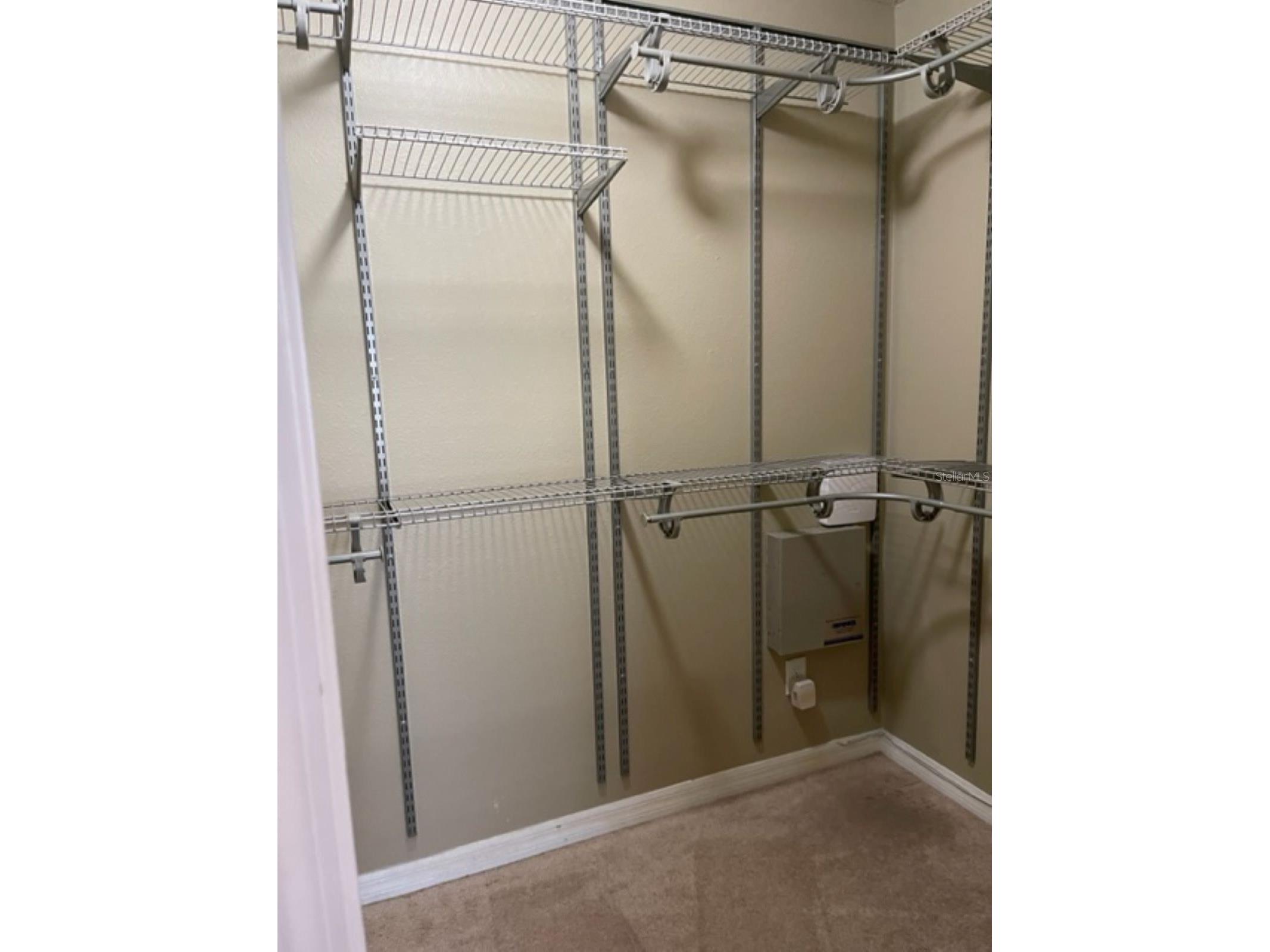2950 Willowleaf Lane Wesley Chapel FL 33544 TB8495846 image17