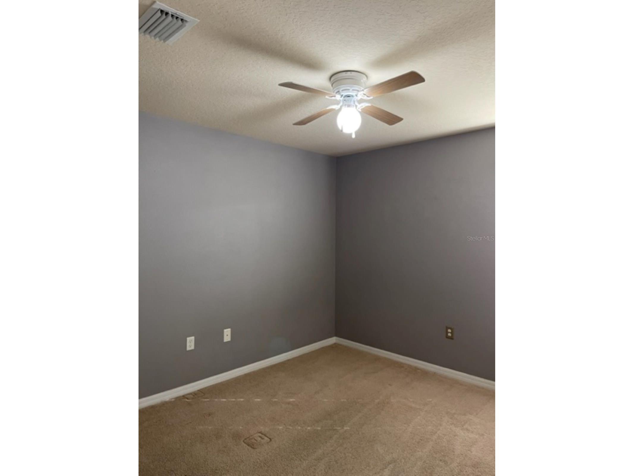 2950 Willowleaf Lane Wesley Chapel FL 33544 TB8495846 image20