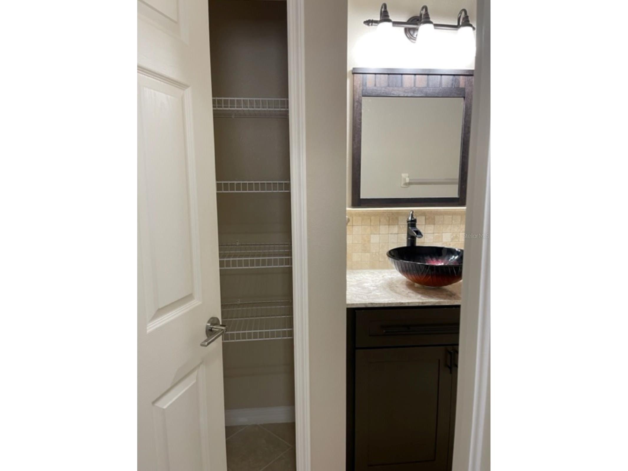 2950 Willowleaf Lane Wesley Chapel FL 33544 TB8495846 image22