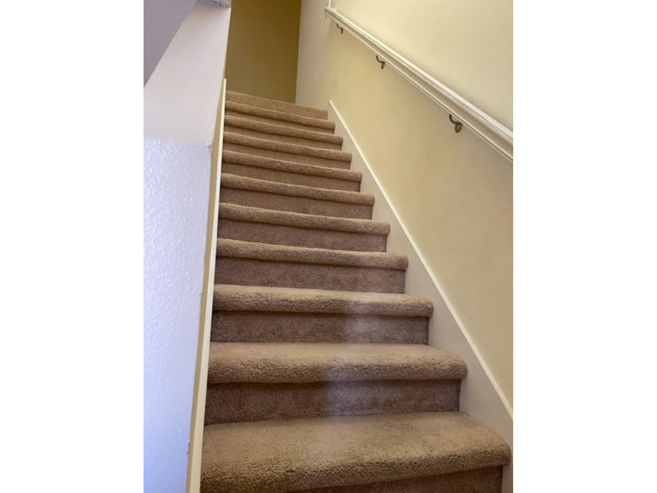 2950 Willowleaf Lane Wesley Chapel FL 33544 TB8495846 image3