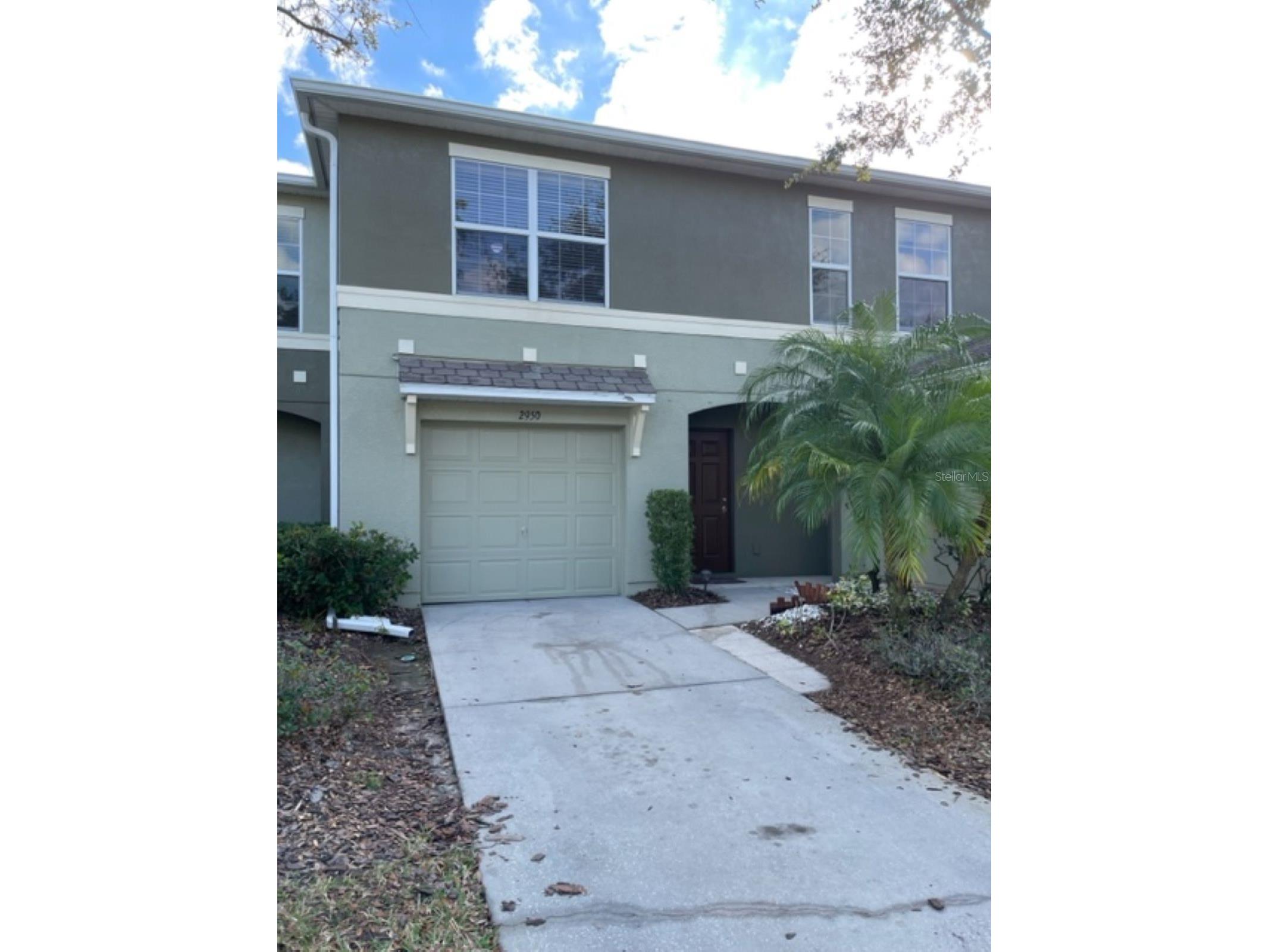 2950 Willowleaf Lane Wesley Chapel FL 33544 TB8504057 image1