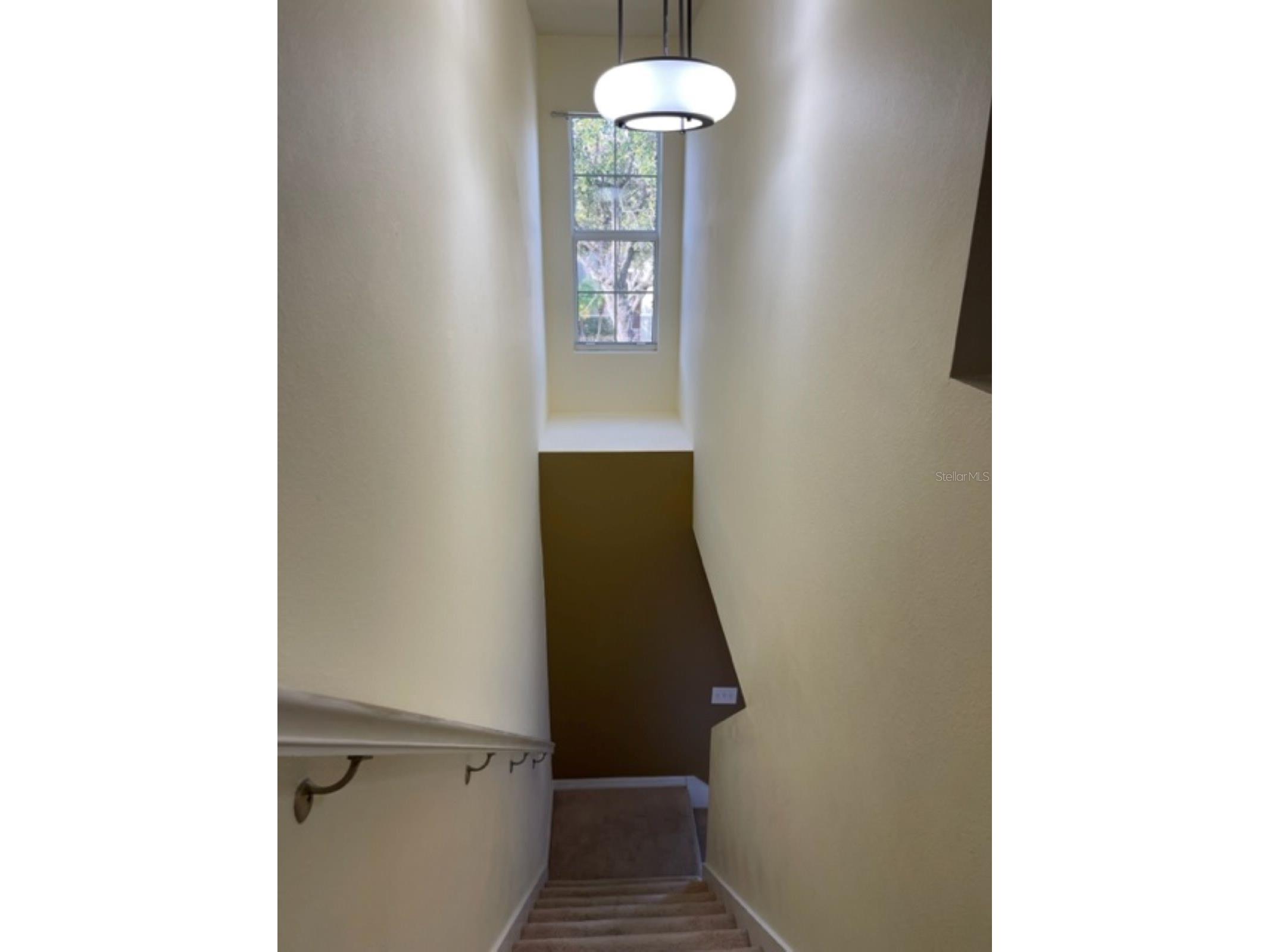 2950 Willowleaf Lane Wesley Chapel FL 33544 TB8504057 image10
