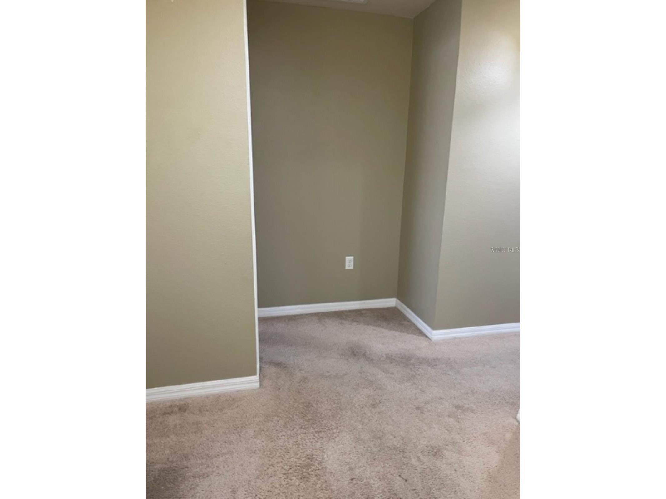 2950 Willowleaf Lane Wesley Chapel FL 33544 TB8504057 image11
