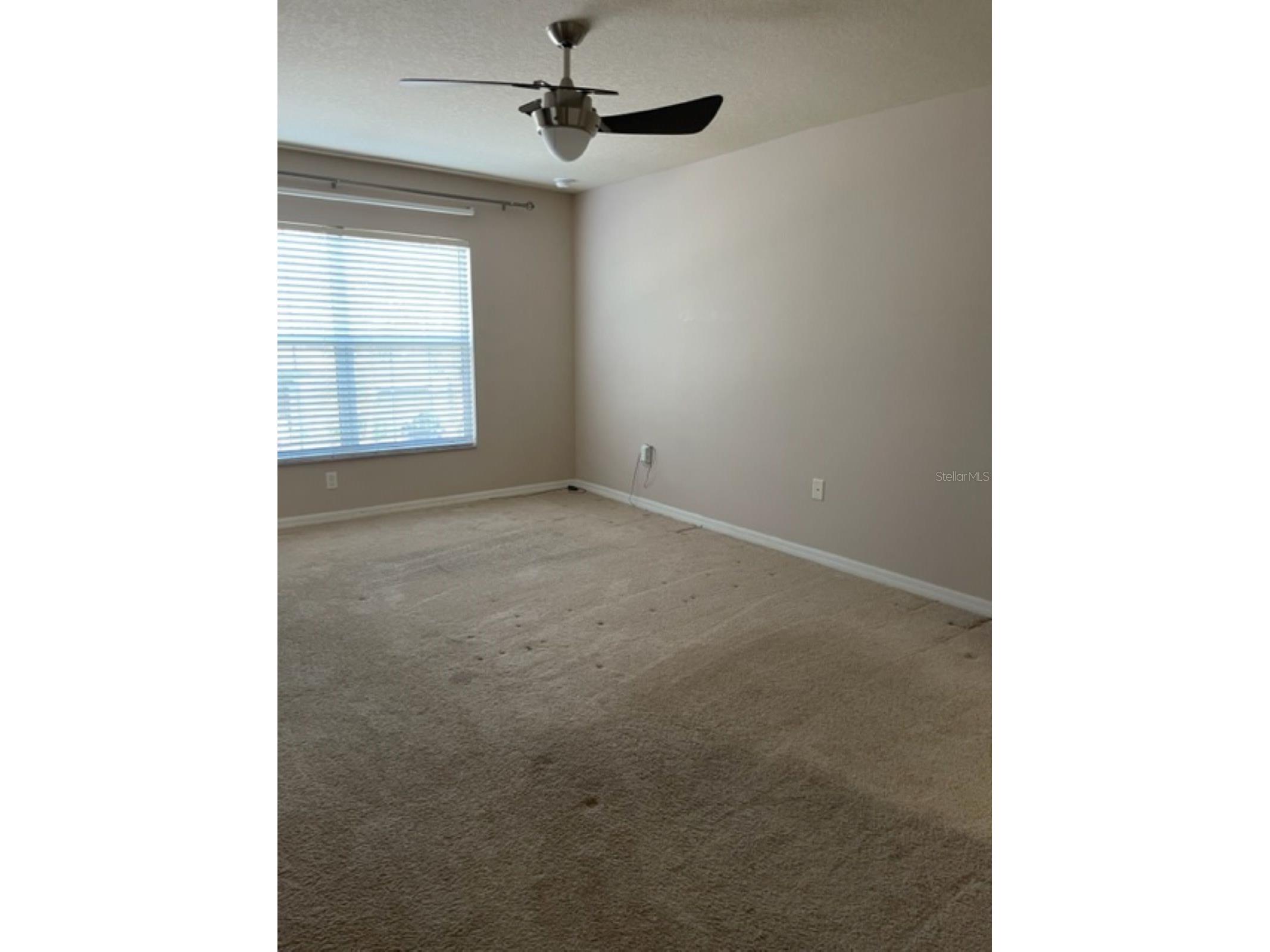 2950 Willowleaf Lane Wesley Chapel FL 33544 TB8504057 image13
