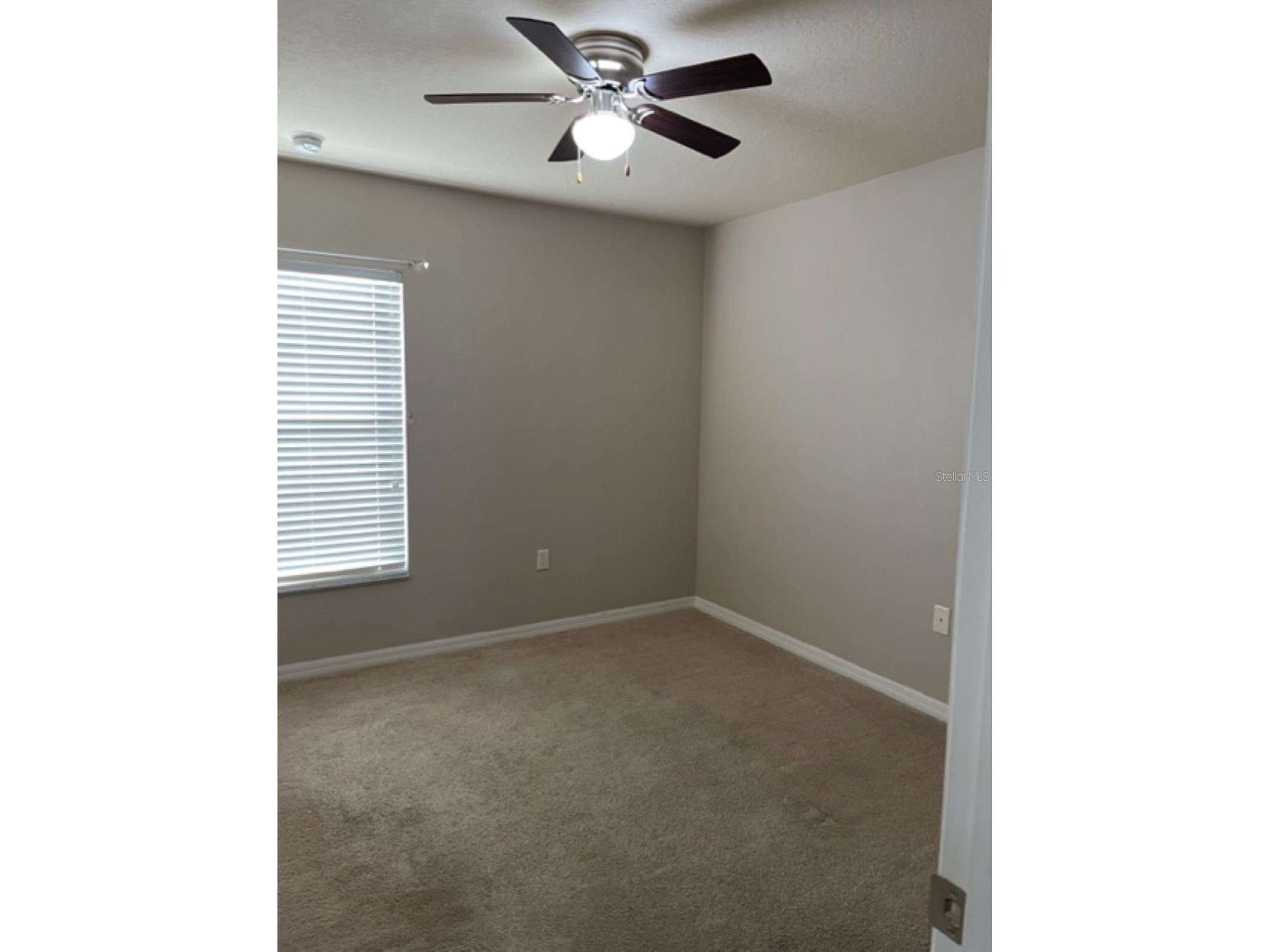 2950 Willowleaf Lane Wesley Chapel FL 33544 TB8504057 image19