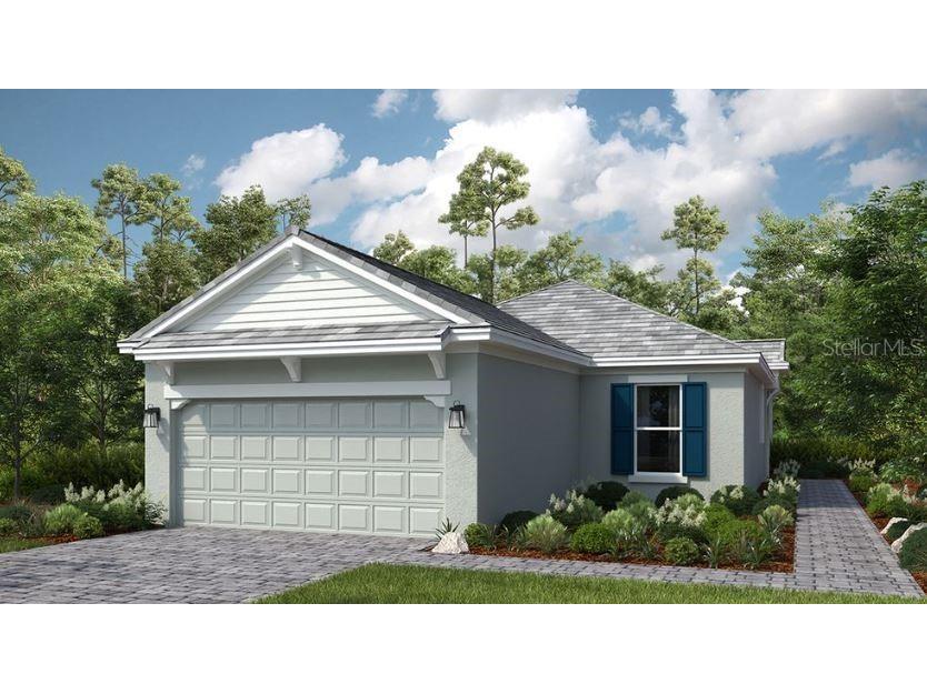 29505 Velletri Lane Wesley Chapel FL 33543 TB8360457 image1