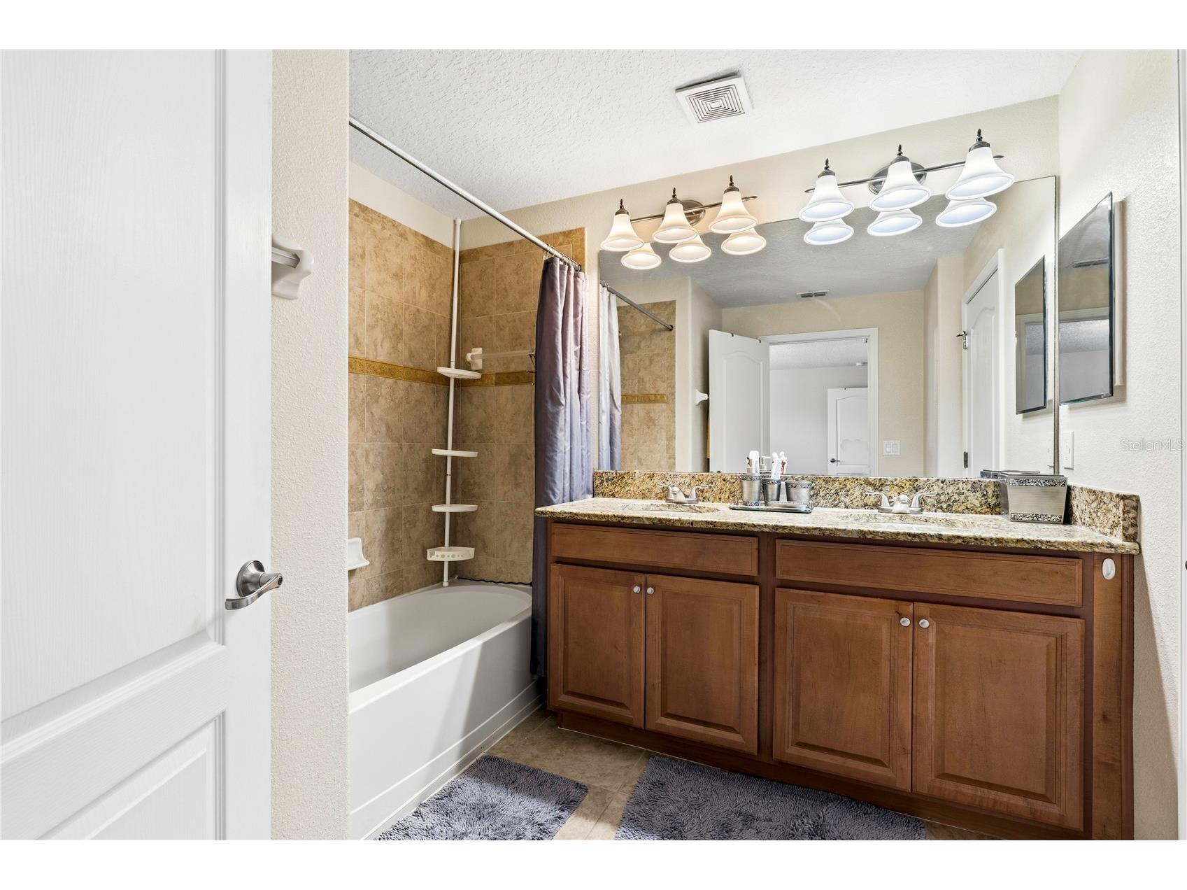 2975 Banana Palm Dr Drive Kissimmee FL 34747 O6387323 image14