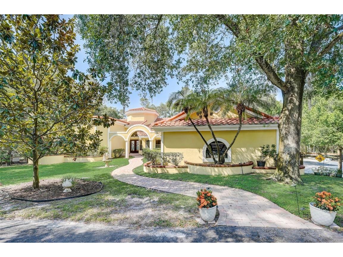 2951 Eagles Nest Drive Palm Harbor FL 34683 T3473386 image1