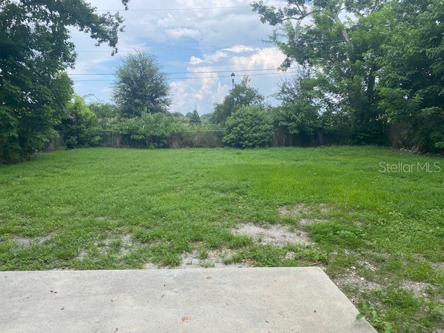 2951 Northland Road Mount Dora FL 32757 G5105288 image11