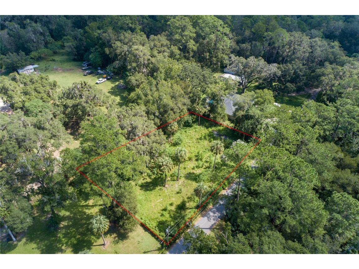 2951 SE 48th Street Ocala FL 34480 T3471693 image1