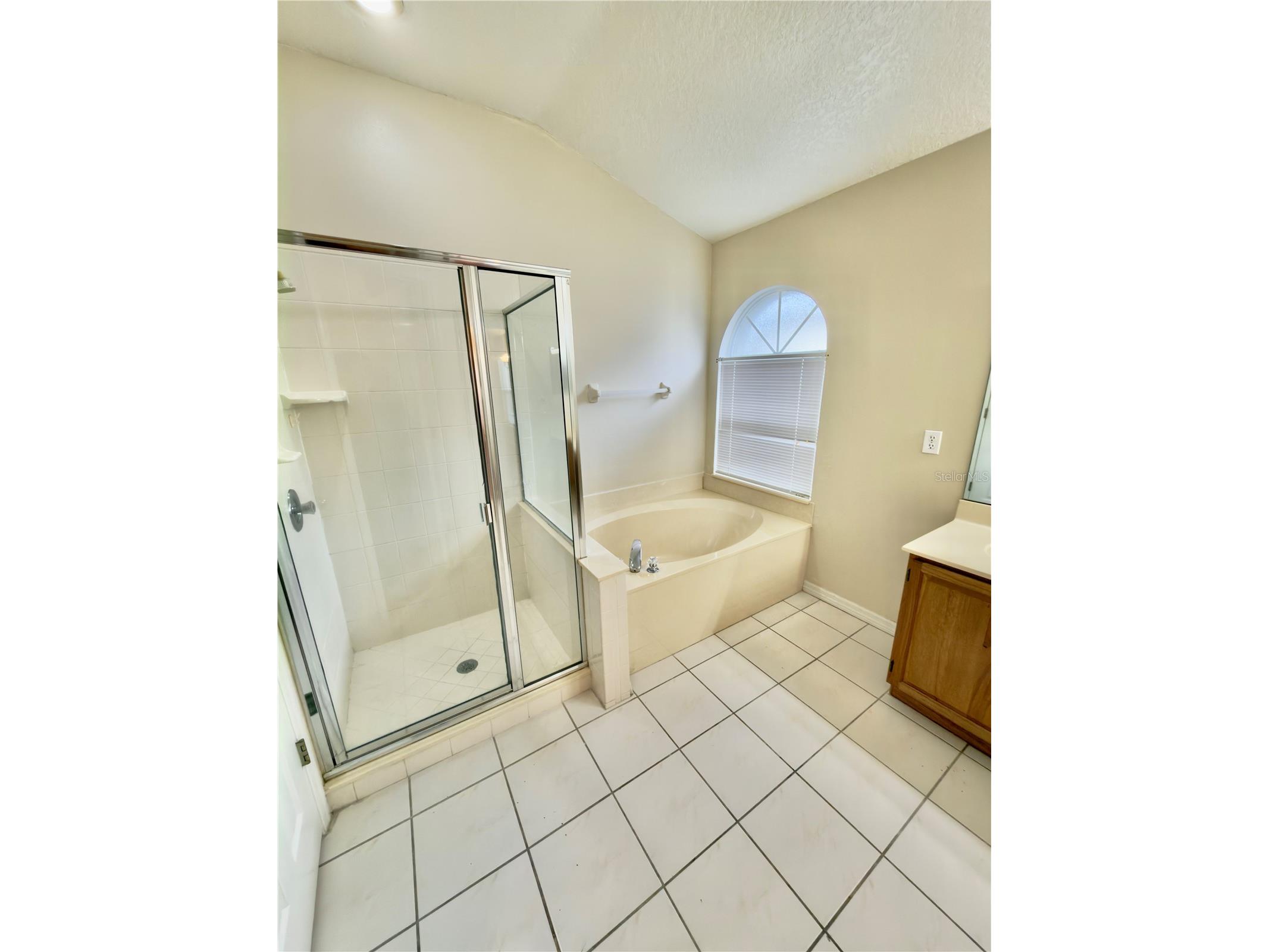 2951 Smithfield Drive Orlando FL 32837 S5144378 image19