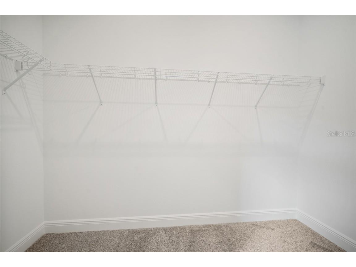 2951 Stewart Creek Circle Plant City FL 33565 TB8421972 image14