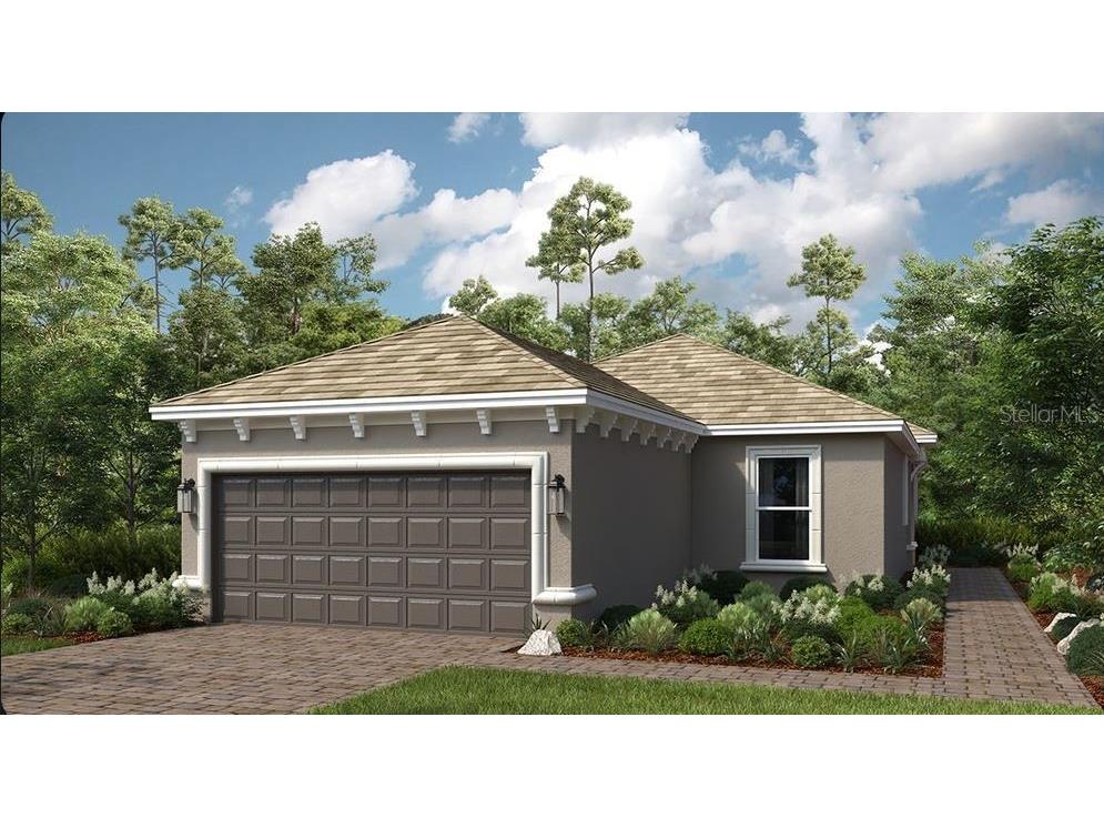 29513 Velletri Lane Wesley Chapel FL 33543 TB8360565 image1