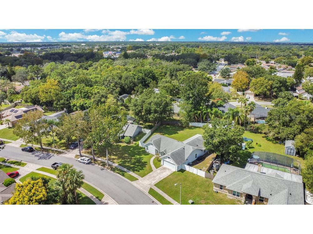 2952 Erskine Drive Oviedo FL 32765 O6346815 image37