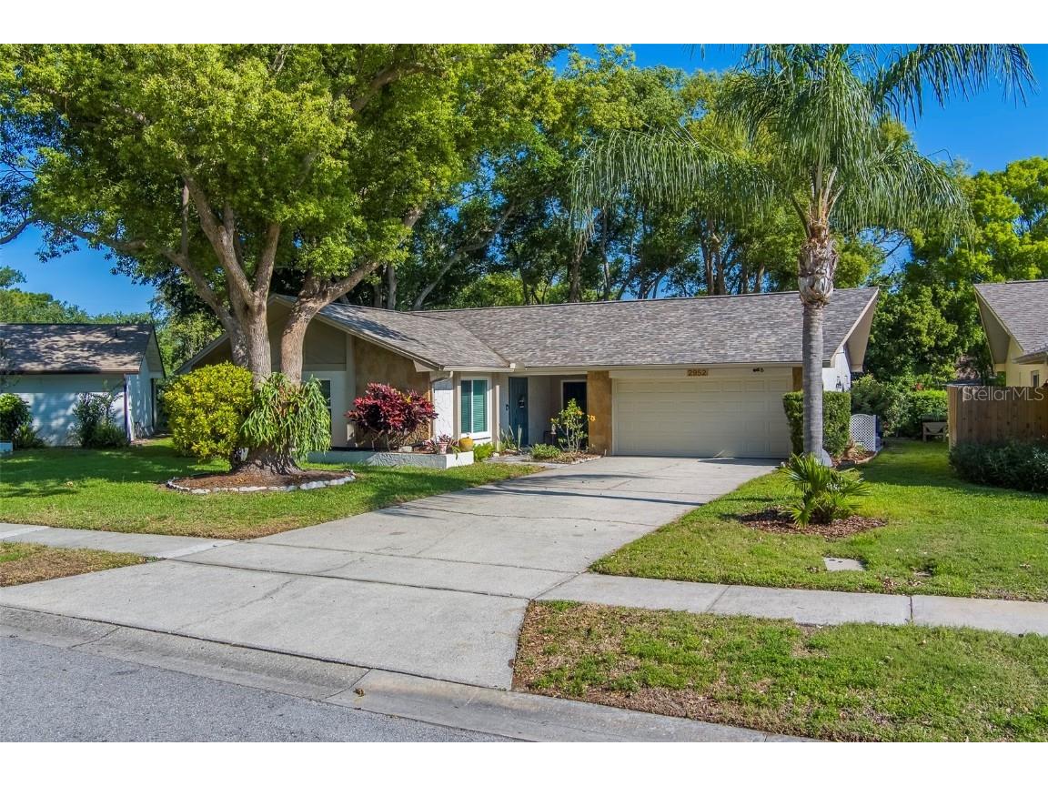 2952 Macalpin Drive N Palm Harbor FL 34684 TB8382510 image1