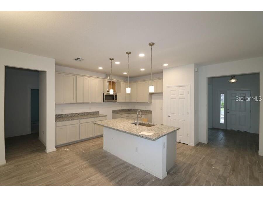 2952 Marine Grass Drive Wimauma FL 33598 TB8521414 image24