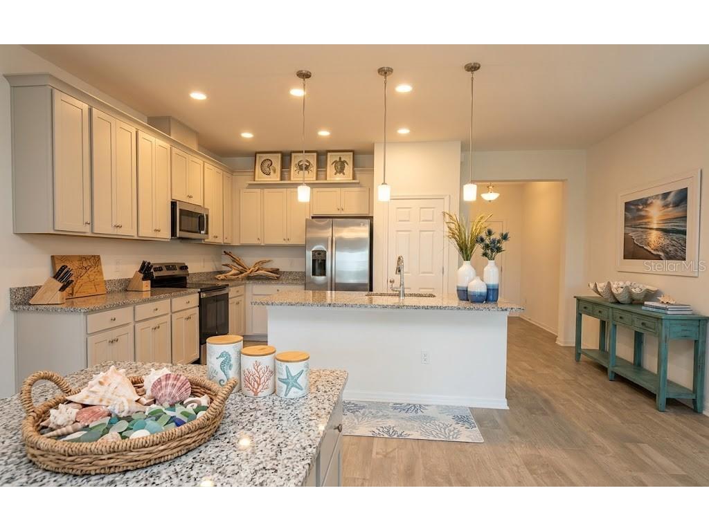 2952 Marine Grass Drive Wimauma FL 33598 TB8521414 image31
