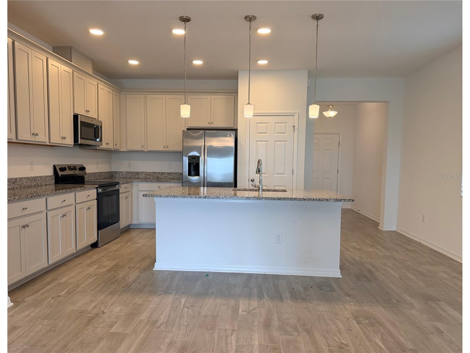 2952 Marine Grass Drive Wimauma FL 33598 TB8521414 image39