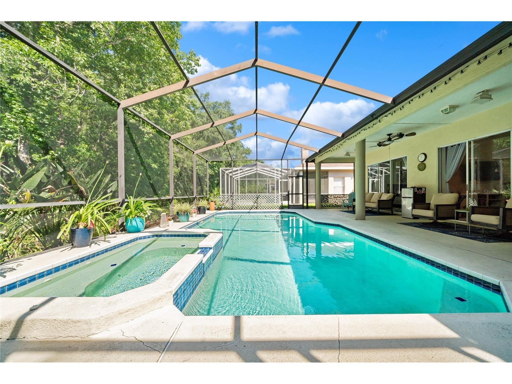 29520 Forest Glen Drive Wesley Chapel FL 33543 TB8506018 image11