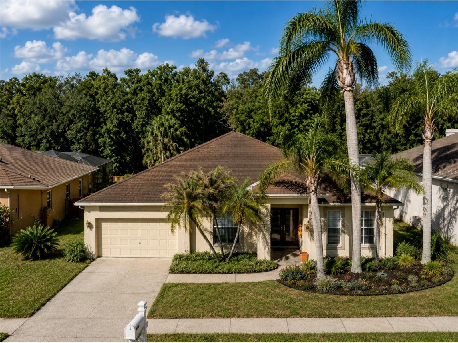 29520 Forest Glen Drive Wesley Chapel FL 33543 TB8506018 image2