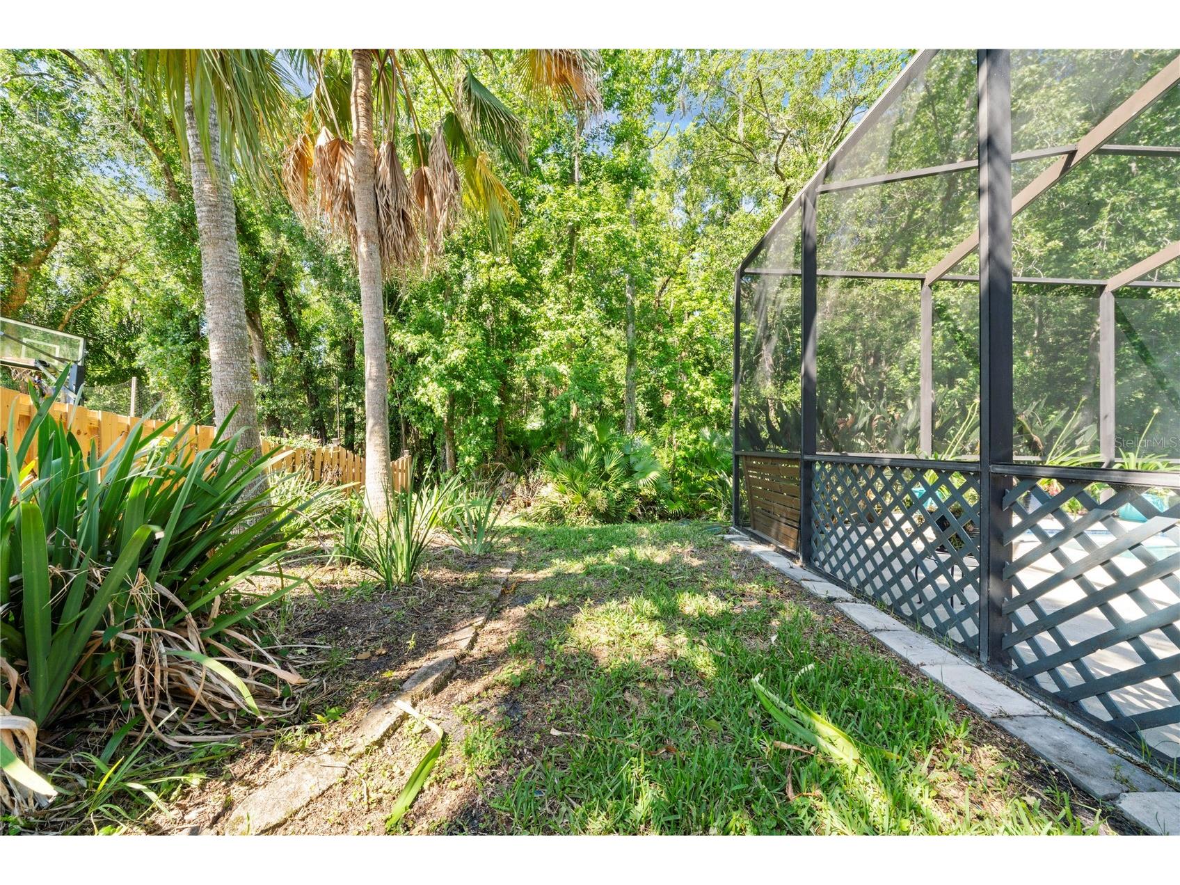 29520 Forest Glen Drive Wesley Chapel FL 33543 TB8506018 image33