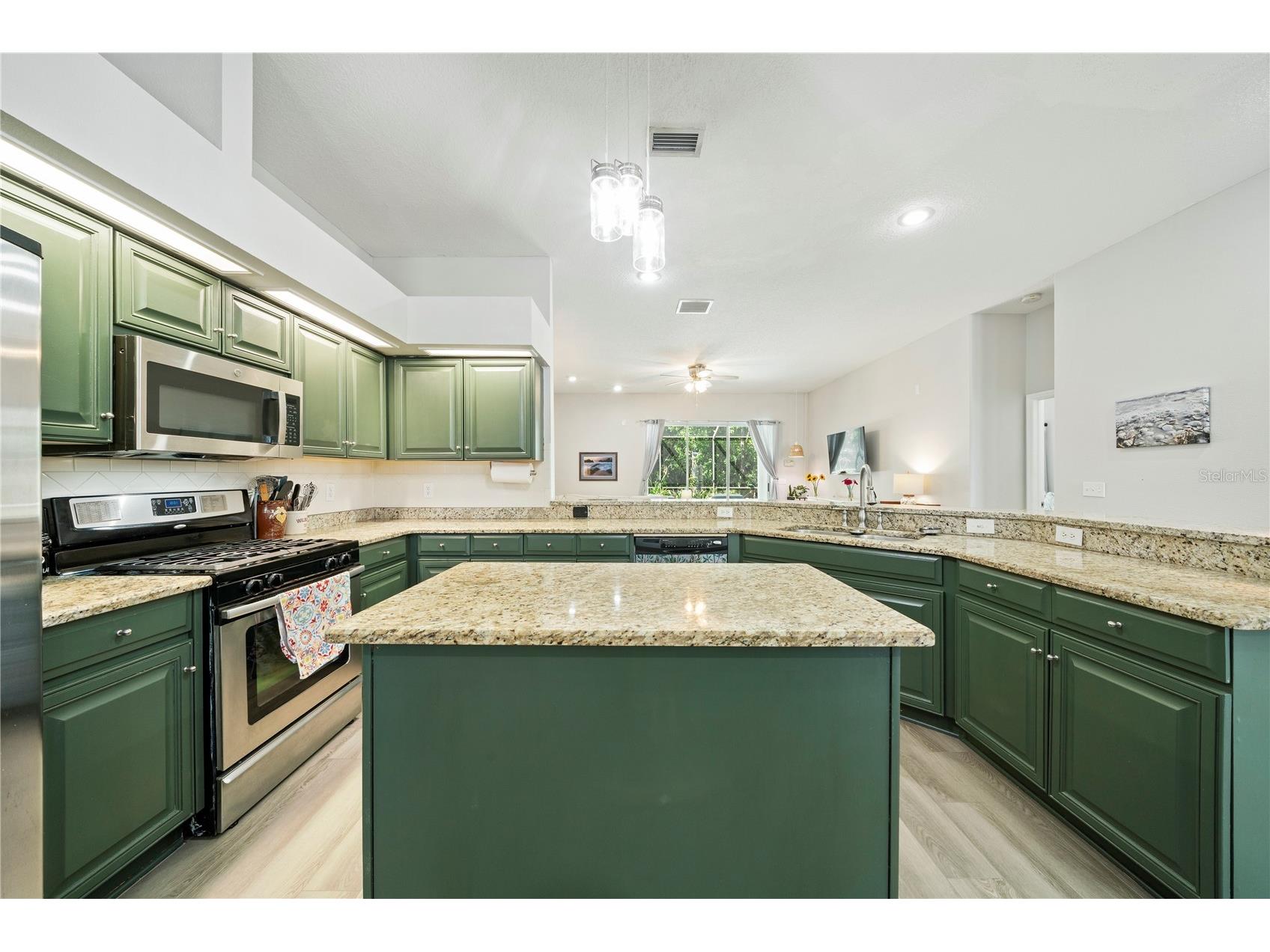 29520 Forest Glen Drive Wesley Chapel FL 33543 TB8506018 image4
