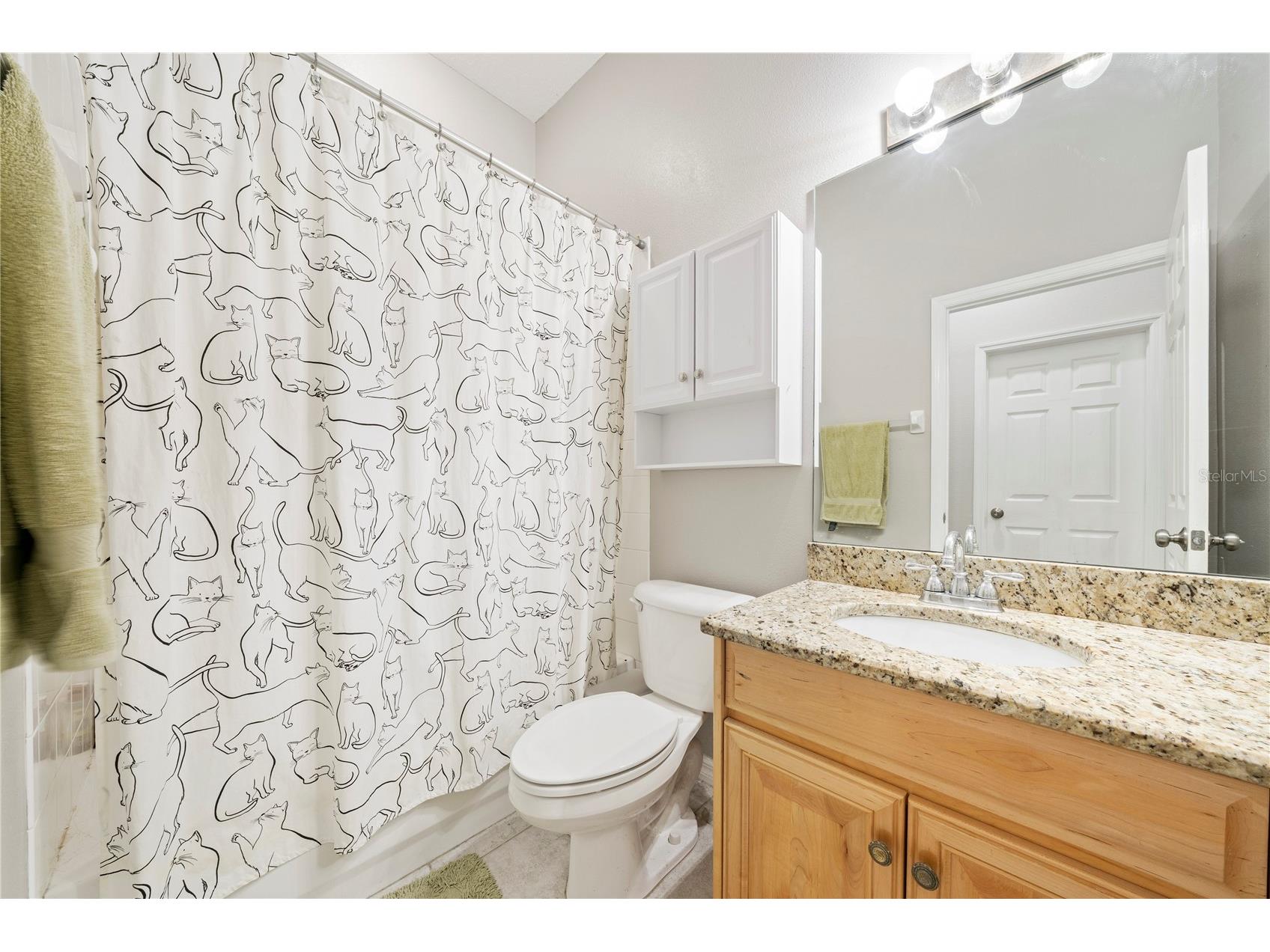 29520 Forest Glen Drive Wesley Chapel FL 33543 TB8506018 image44