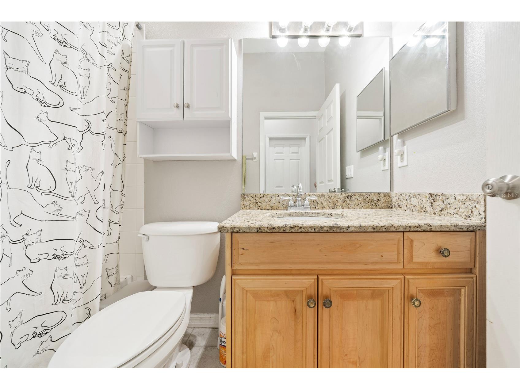 29520 Forest Glen Drive Wesley Chapel FL 33543 TB8506018 image45