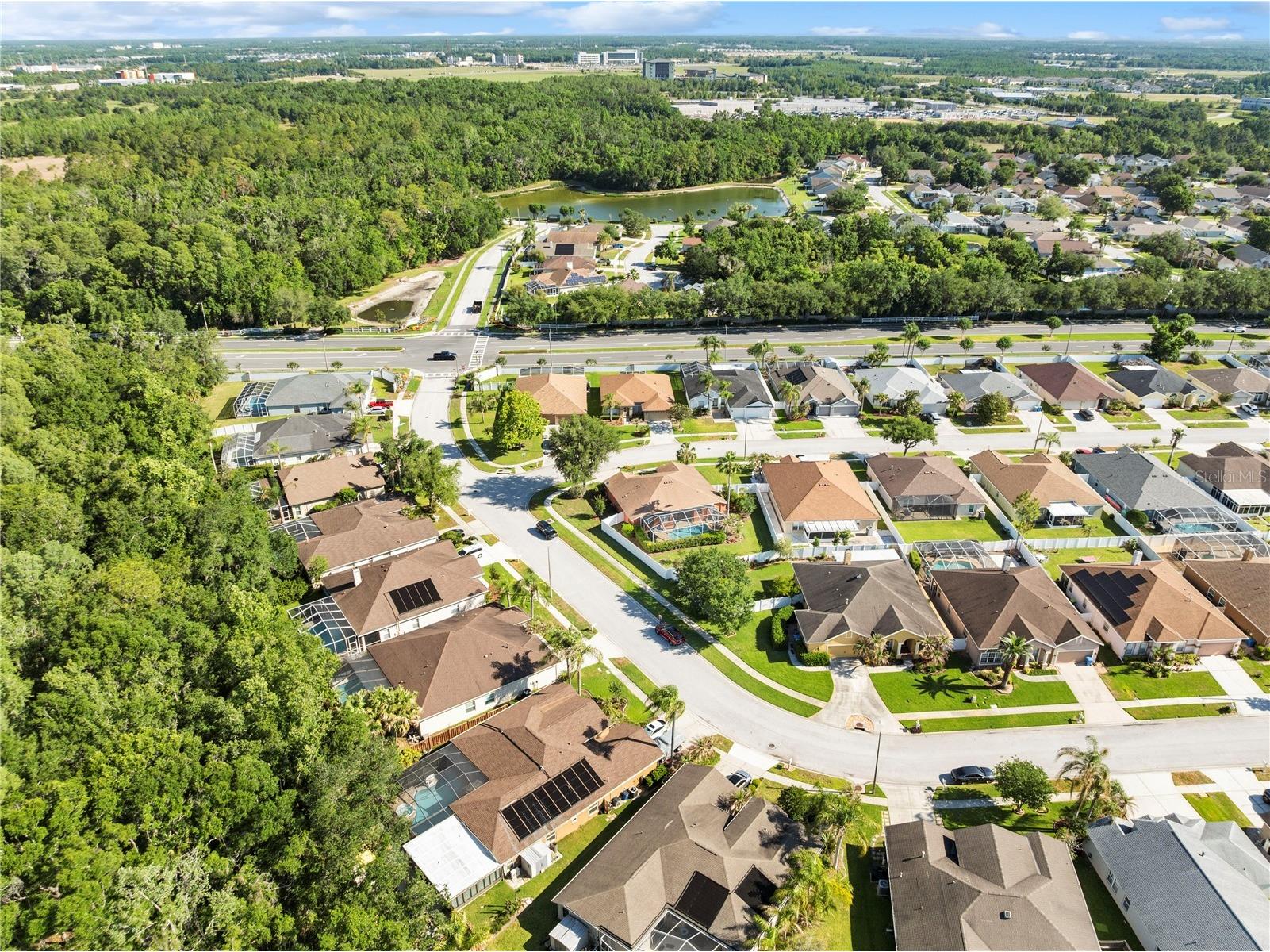 29520 Forest Glen Drive Wesley Chapel FL 33543 TB8506018 image46
