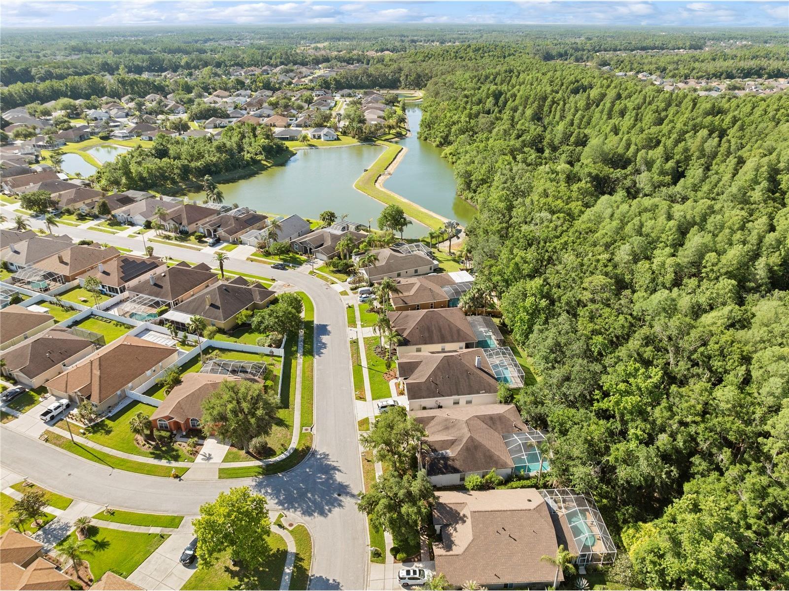 29520 Forest Glen Drive Wesley Chapel FL 33543 TB8506018 image47