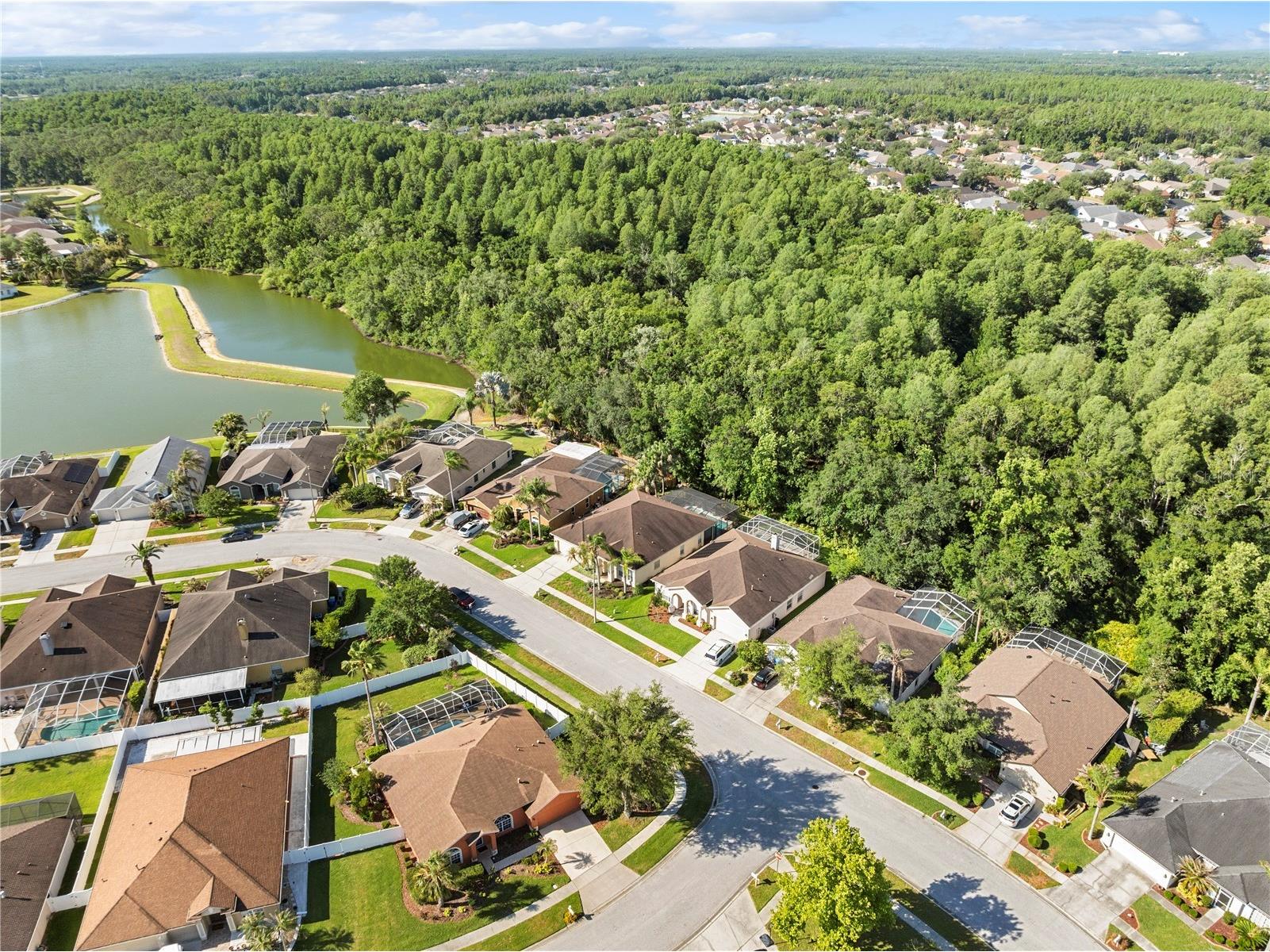 29520 Forest Glen Drive Wesley Chapel FL 33543 TB8506018 image48