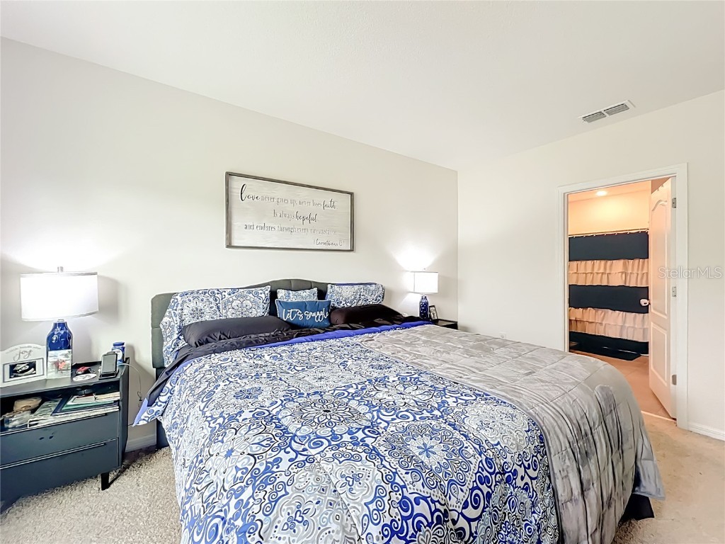 29521 Caspian Street Leesburg FL 34748 O6346930 image15