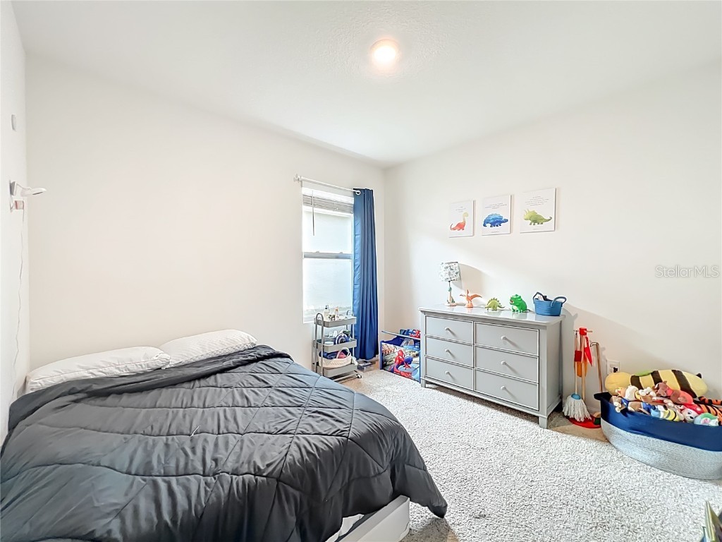 29521 Caspian Street Leesburg FL 34748 O6346930 image16