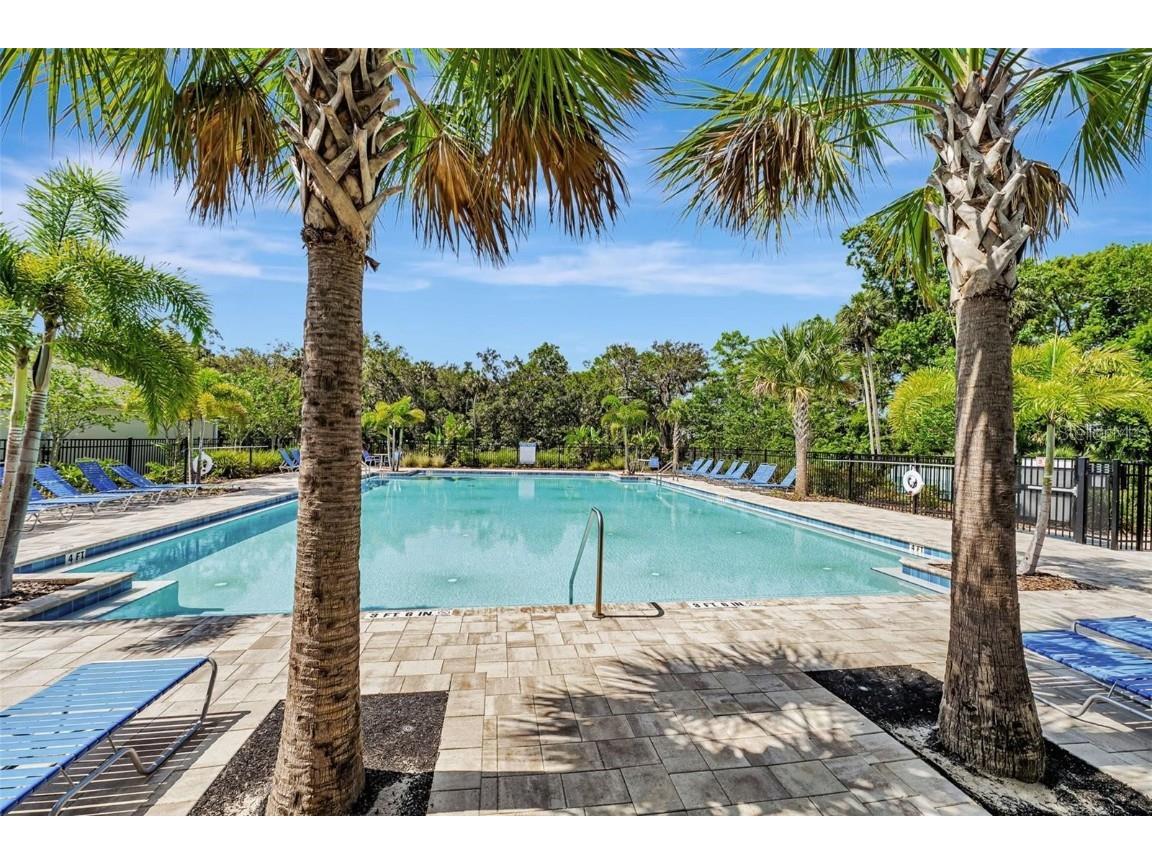 29521 Caspian Street Leesburg FL 34748 O6346930 image25