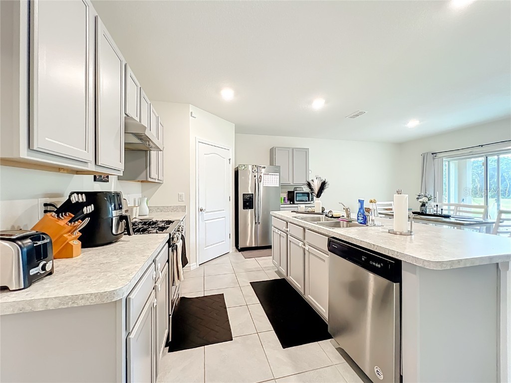 29521 Caspian Street Leesburg FL 34748 O6346930 image5