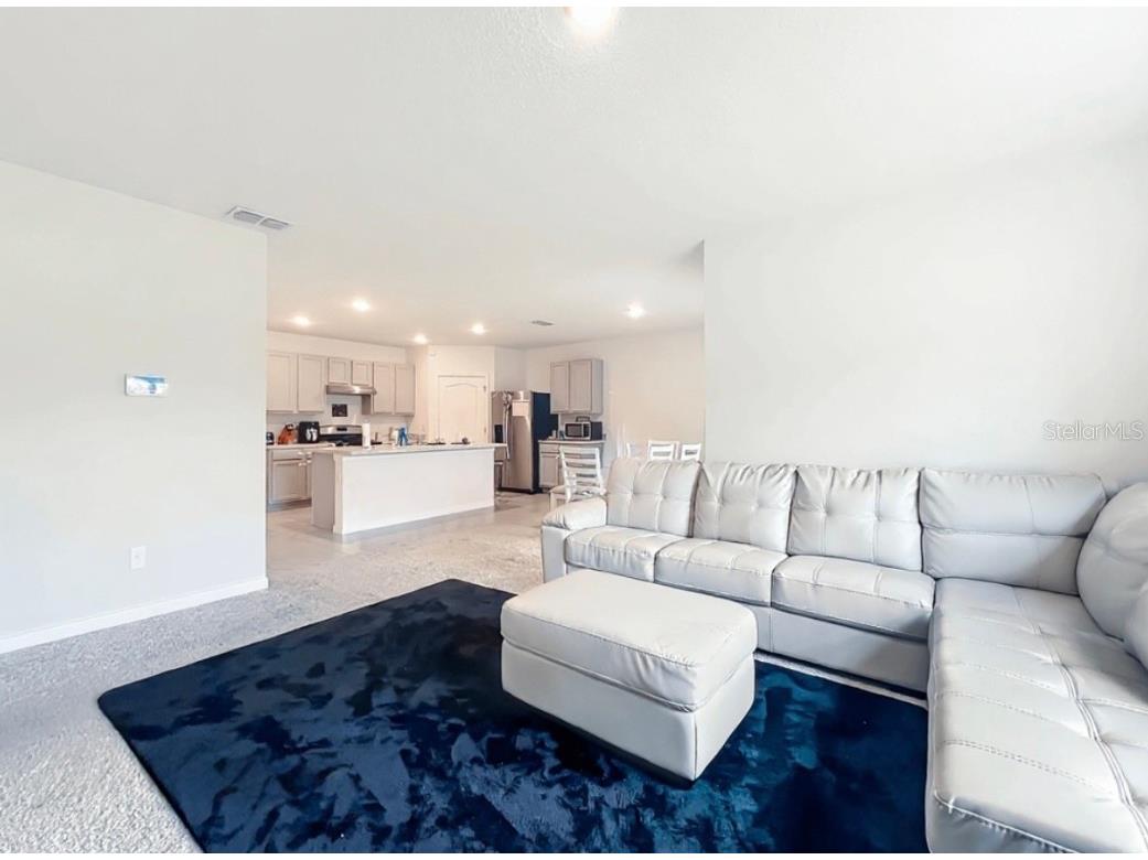 29521 Caspian Street Leesburg FL 34748 O6346930 image8