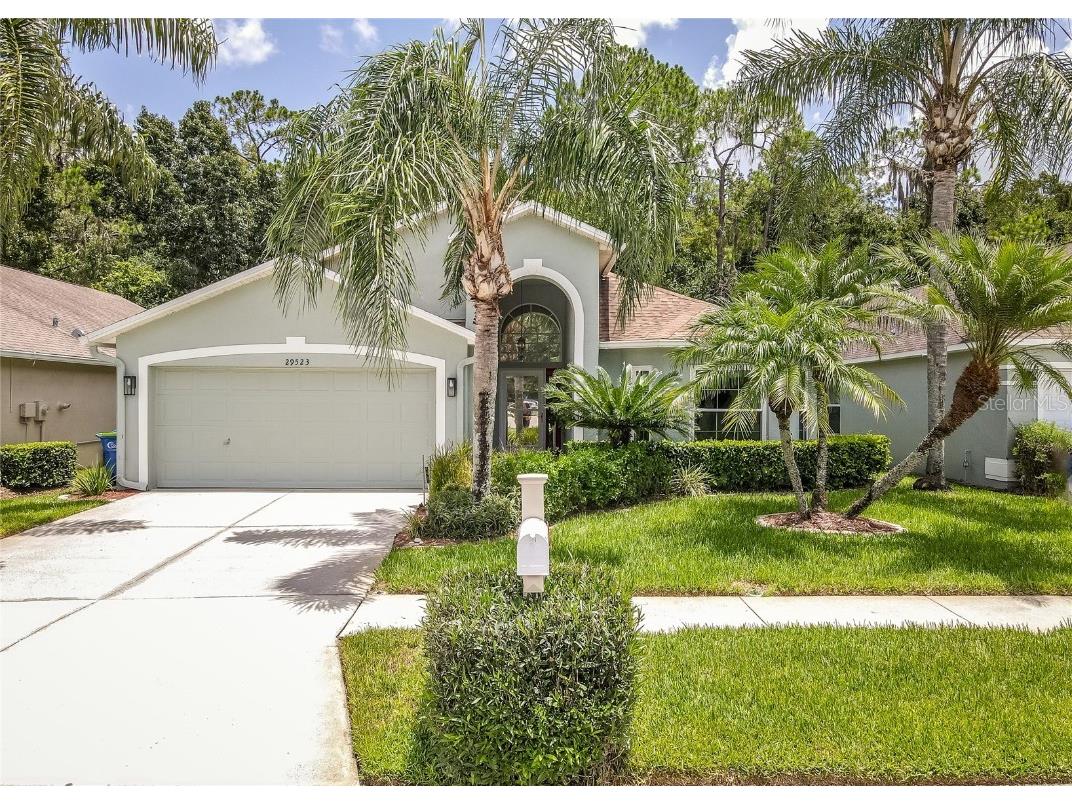 29523 Birds Eye Drive Wesley Chapel FL 33543 T3544268 image1