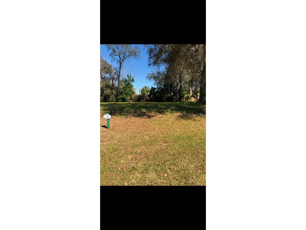 29523 Chapel Park Drive Wesley Chapel FL 33543 O6280939 image1