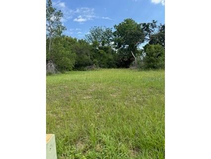 29523 Chapel Park Drive Wesley Chapel FL 33543 TB8431145 image2