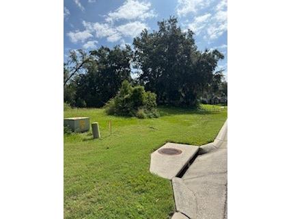 29523 Chapel Park Drive Wesley Chapel FL 33543 TB8431145 image3