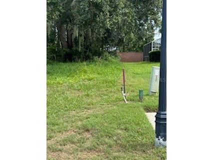 29523 Chapel Park Drive Wesley Chapel FL 33543 TB8431145 image4